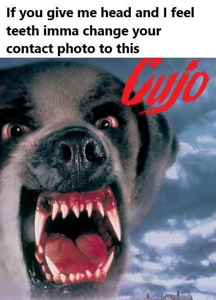 cujo meme|funny cujo memes.